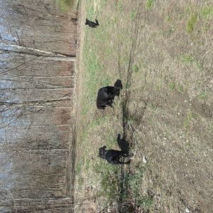 Meet your Posher, Lynne